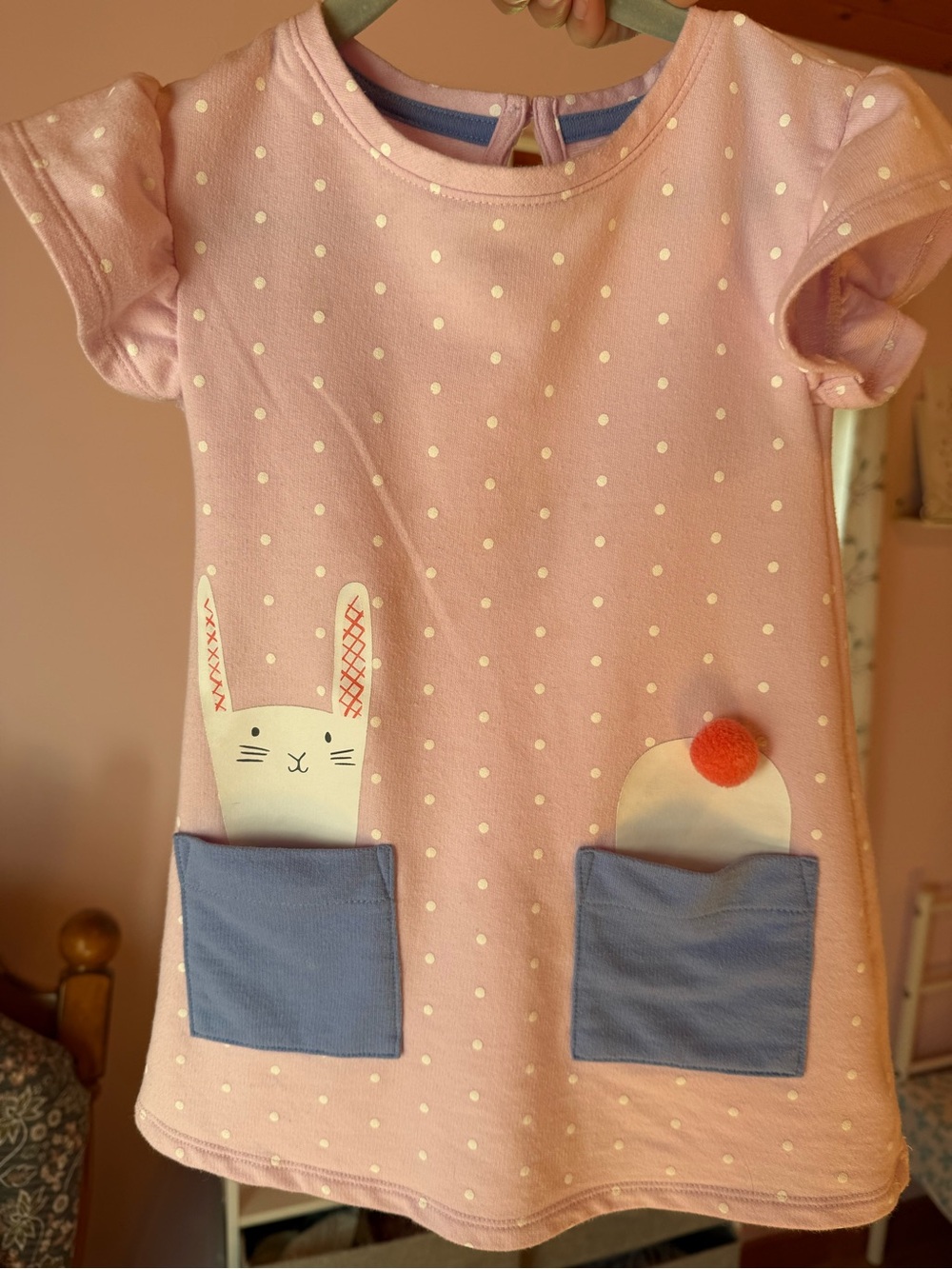 Cat & Jack Pink and Blue Toddler Dress